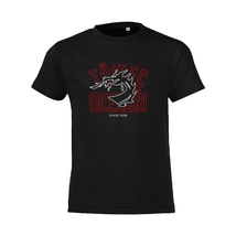 Tričko dětské logo draka v nápisu HC Oceláři